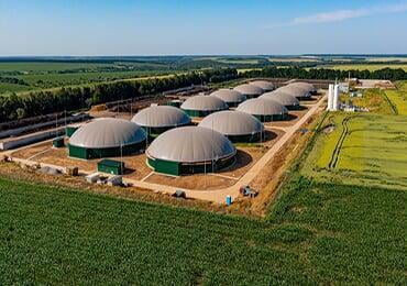 De-coal and reduce carbon, biomass energy opens up substitution space!